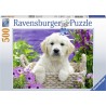Ravensburger puzzel Lieve Golden Retriever 500 stukjes