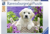 Ravensburger puzzle Doux Golden Retriever 500 pièces