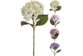 Hortensia 65cm