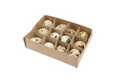 Oeufs de caille naturels 12x10x3cm 12 pièces en boîte