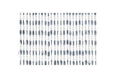 Rideau anti-mouches Charlotte 100x240cm gris 100% PVC