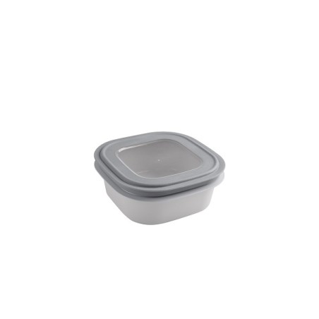 Sunware Sigma Home Boîte de rangement 1,3 litre gris 18x18x7,2cm
