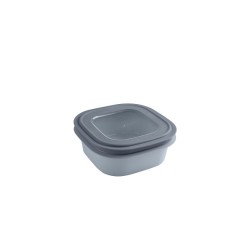 Sunware Sigma Home Boîte de rangement 1,3 litre vert 18x18x7,2cm