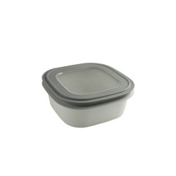 Sunware Sigma Home Boîte de rangement 2,8 litres vert 23x23x9cm