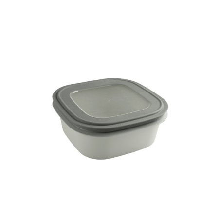 Sunware Sigma Home Boîte de rangement 2,8 litres vert 23x23x9cm