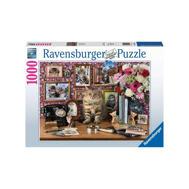 Ravensburger puzzel Mijn Katjes 1000 stukjes