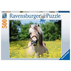 Ravensburger puzzle cheval parmi les fleurs 500 pièces
