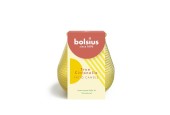 Bolsius True Citronella Patiolight verre Ø9,1xh9,4cm