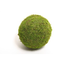 Bal Mos Asia Ø10cm