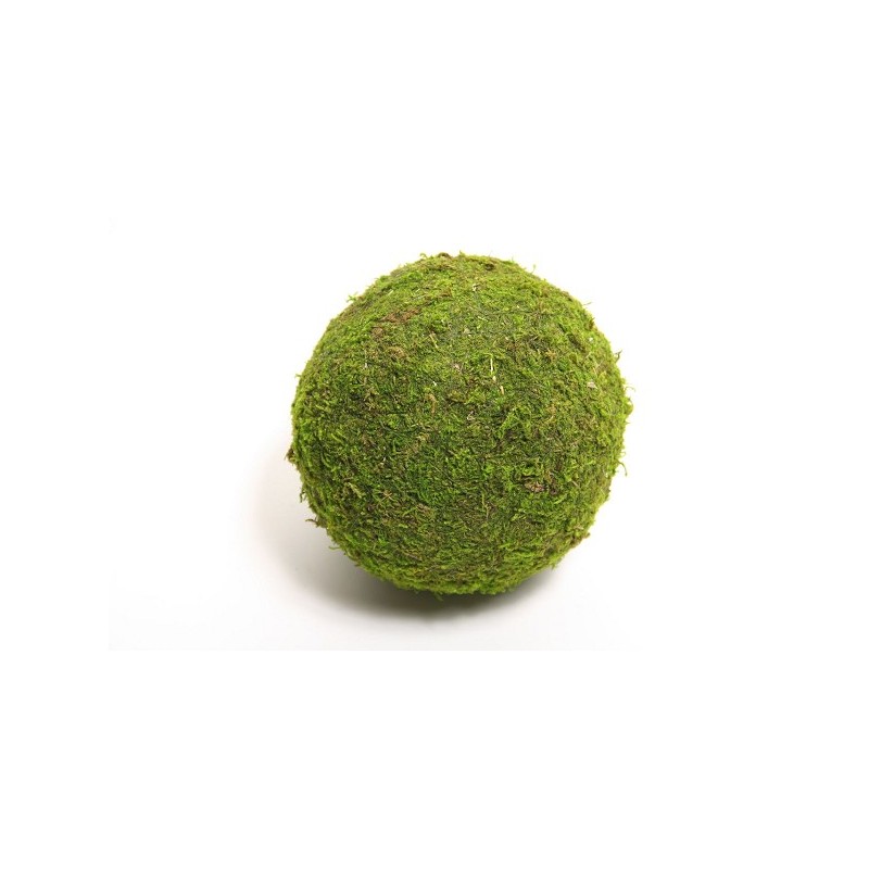 Boule Mousse Asie Ø10cm