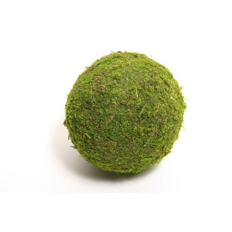 Bal Mos Asia Ø10cm