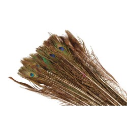 Basic Pauwenveer lengte 100-110cm ( per 10 stuks)