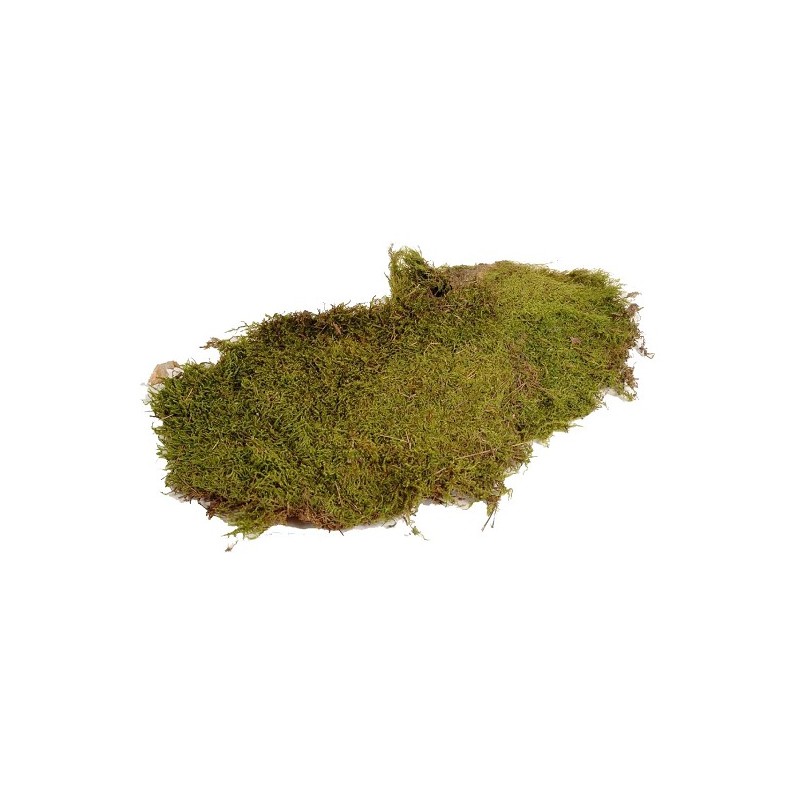 Hobby Flat Moss 80gram Naturel
