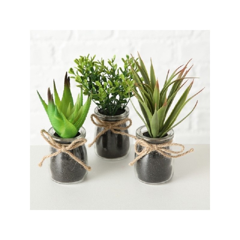 Boltze Home Sukkulente en pot Ø10x17cm plante artificielle en pot en verre