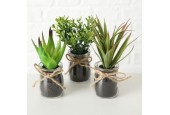 Boltze Home Sukkulente en pot Ø10x17cm plante artificielle en pot en verre
