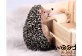 Farmwood Animals Tuinbeeld Egel Hangend 15cm