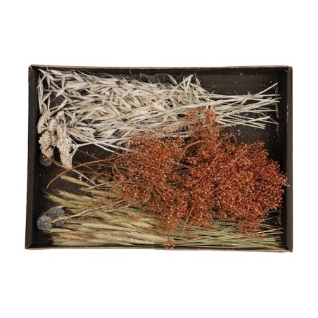 Dijk Natural Collections Plateau de mélange de fleurs séchées 38x26x5cm