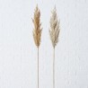 Boltze Home déco branche herbe de Pampa 95cm