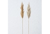 Boltze Home déco branche herbe de Pampa 95cm