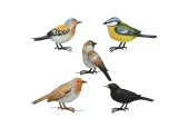 Muurdeco Ijzer L38cm Vogel