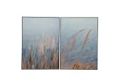 Schilderij mdf 50x70cm met afbeelding van pampas gras