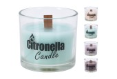 Bougie à la citronnelle dans un pot en verre
