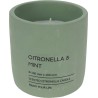 Citronella kaars in pot 10cm groen