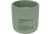 Citronella kaars in pot 10cm groen