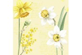 Serviettes Duni Spring Daffodil 33x33cm tissu 3 couches FSC paquet de 20 serviettes