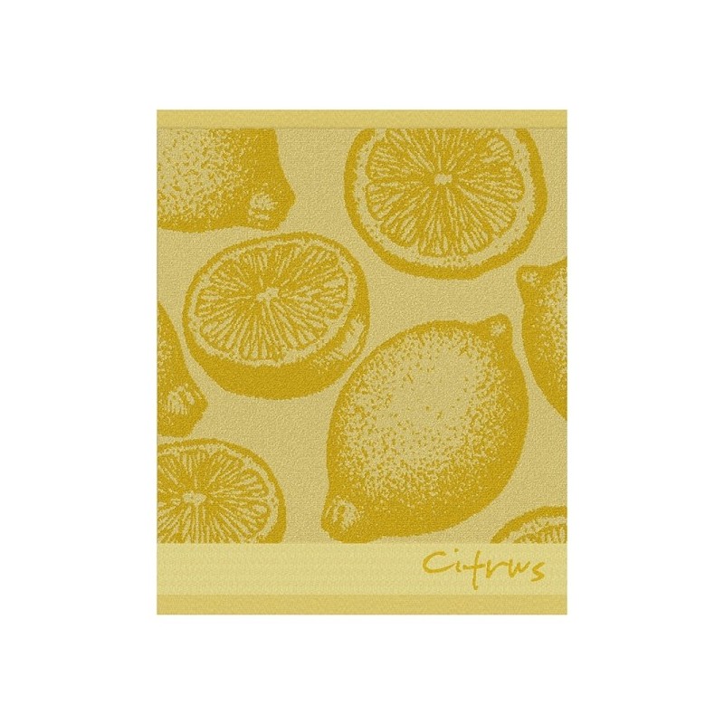 DDDDD Torchon de cuisine agrumes 50x55cm jaune par 6 pièces