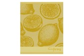 DDDDD Torchon de cuisine agrumes 50x55cm jaune par 6 pièces