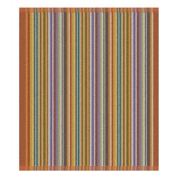 DDDDD Torchon de cuisine sur l'arc-en-ciel 50x55cm terra par 6 pièces