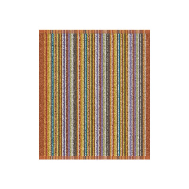 DDDDD Keukendoek over the rainbow 50x55cm terra per 6 stuks