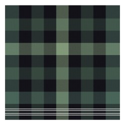DDDDD Torchon plus brillant 60x65cm vert par 6 pièces