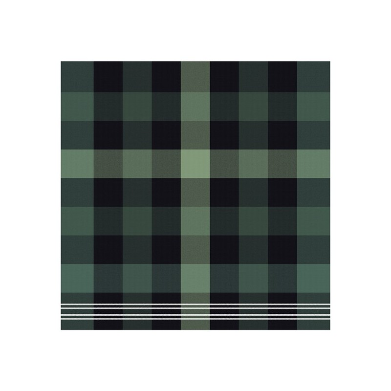 DDDDD Torchon plus brillant 60x65cm vert par 6 pièces