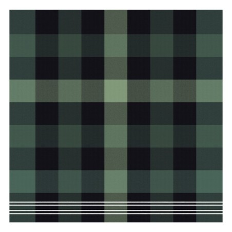 DDDDD Theedoek feller 60x65cm green per 6 stuks