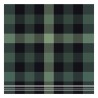 DDDDD Torchon plus brillant 60x65cm vert par 6 pièces