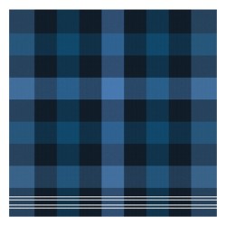 DDDDD Keukendoek feller 50x55cm blue per 6 stuks