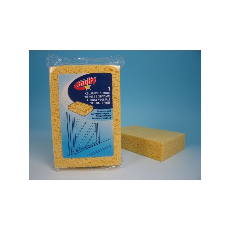 Multy Viscose spons 16x11 cm