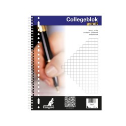 pspan style"font-size: 12px;"Collegeblok A4 ruit 10mm 23r 5 stuks/spanbr/p