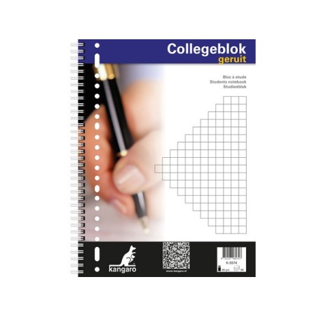 pspan style"font-size: 12px;"Collegeblok A4 ruit 10mm 23r 5 stuks/spanbr/p