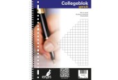 pspan style"font-size: 12px;"Collegeblok A4 ruit 10mm 23r 5 stuks/spanbr/p