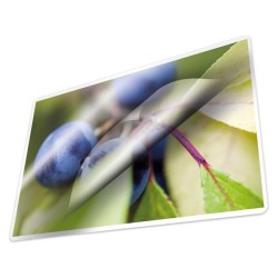 Kangaro Lamineerhoezen A4 80 Micron Pak A 25 Vel