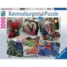 Ravensburger puzzle NYC splendeur florale 1000 pièces