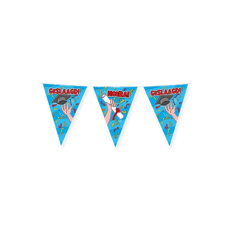 Paperdreams Party vlag - Geslaagd school cartoon