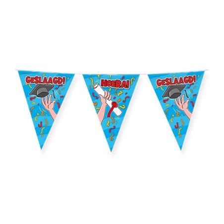 Paperdreams Party vlag - Geslaagd school cartoon