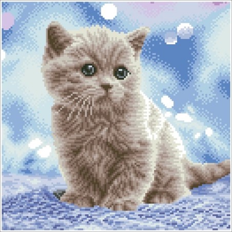 Bulles Diamond Dotz 35x35cm