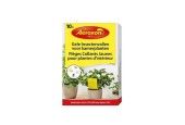 Aeroxon Pièges à insectes jaunes pour plantes d'intérieur boîte de 10 pièces