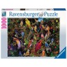 Ravensburger puzzle Beaux oiseaux 1000 pièces
