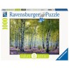 Ravensburger puzzel Berkenbos 1000 stukjes